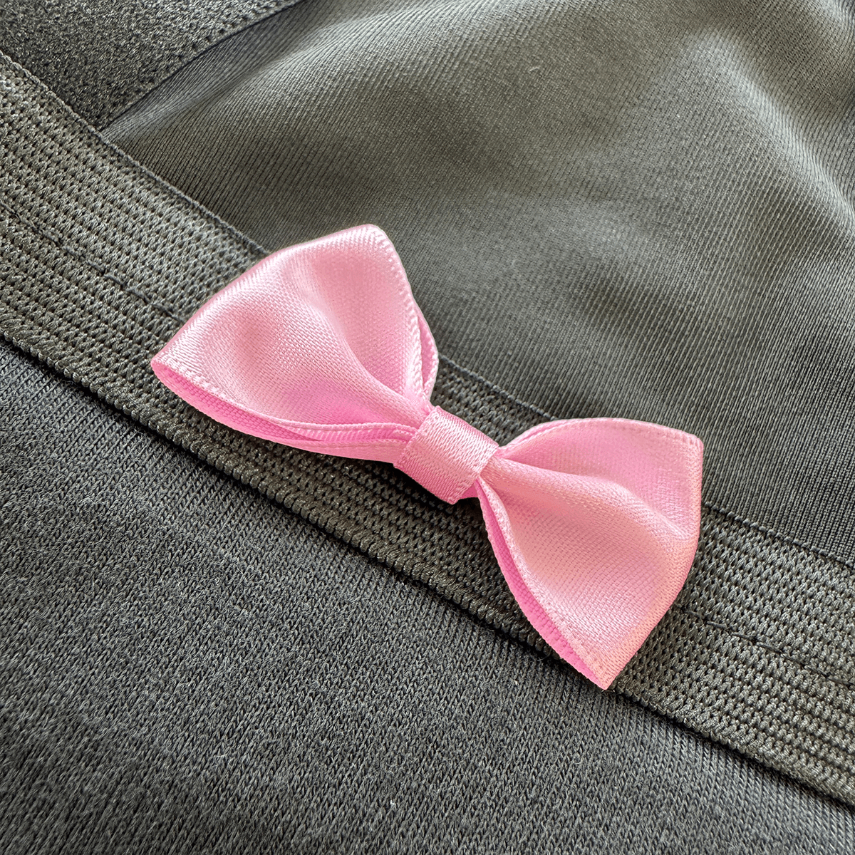 DogPanties® hygiene dog panties for all breeds!