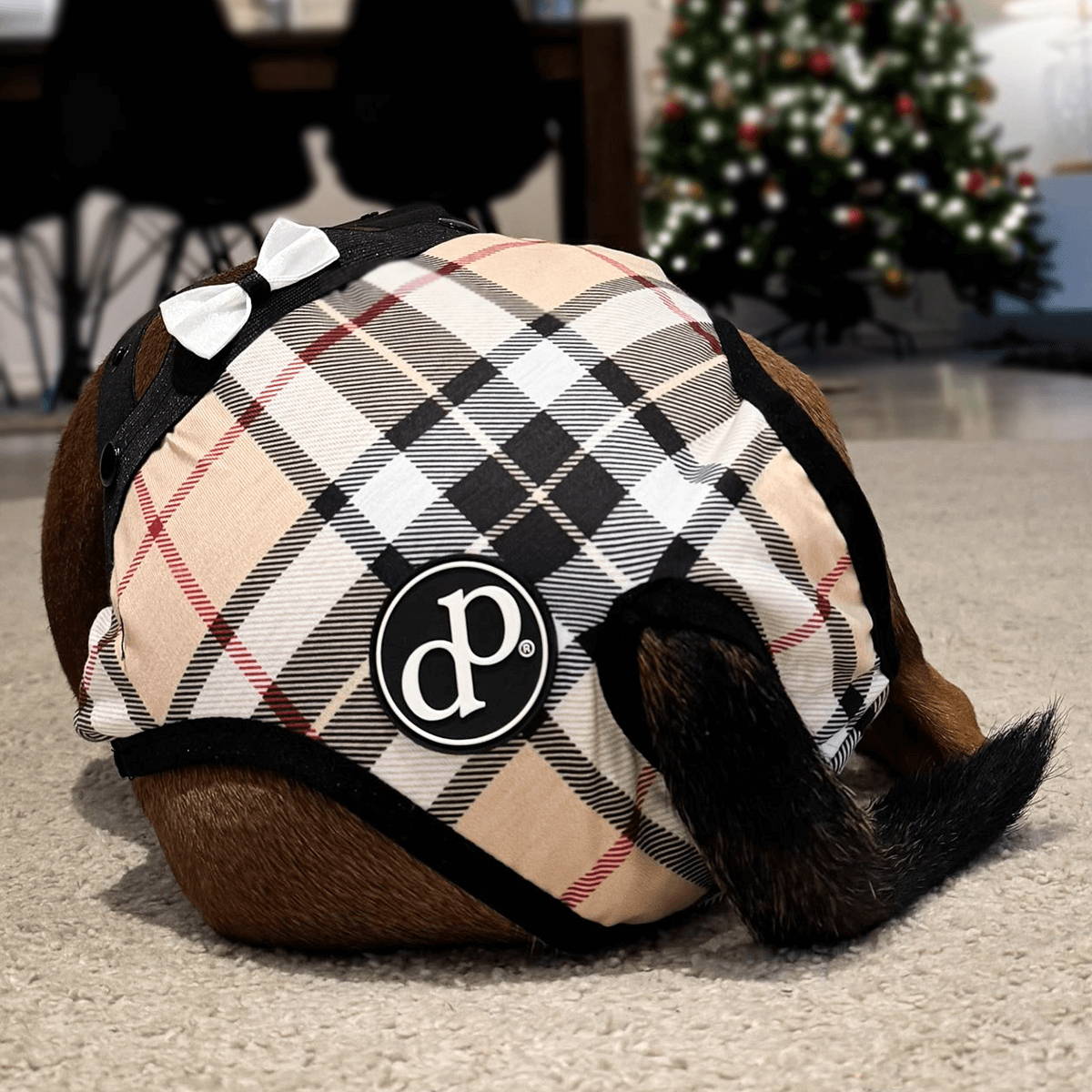 DogPanties® hygiene dog panties for all breeds!