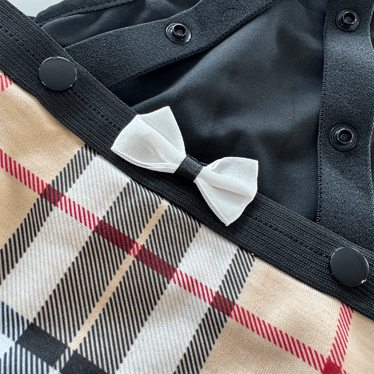 DogPanties® hygiene dog panties for all breeds!